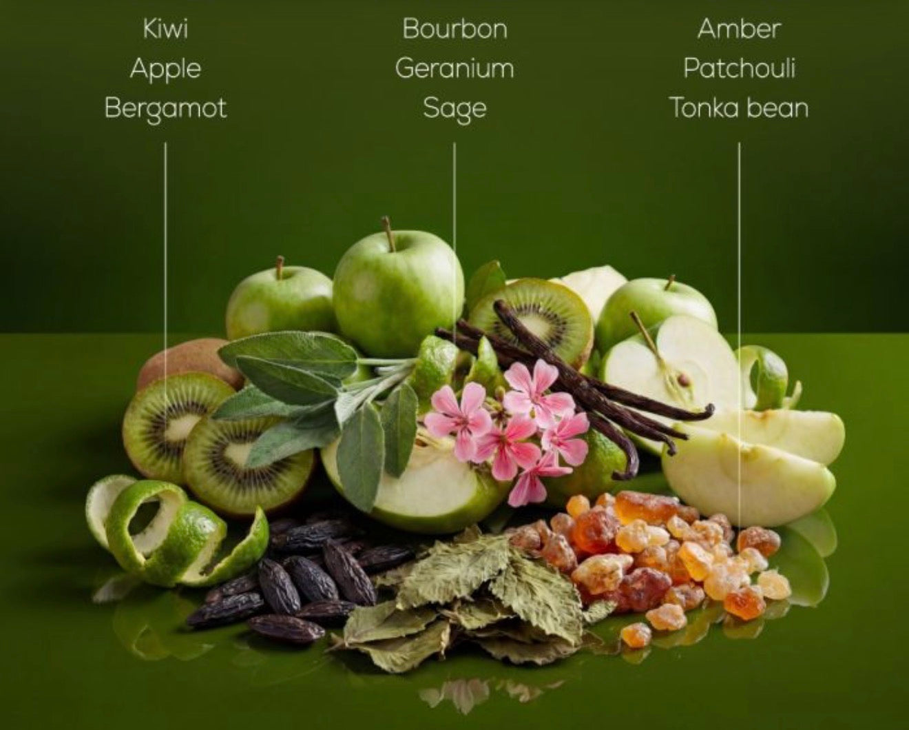 Ahuja Kiwi Tart 100ml Parfum