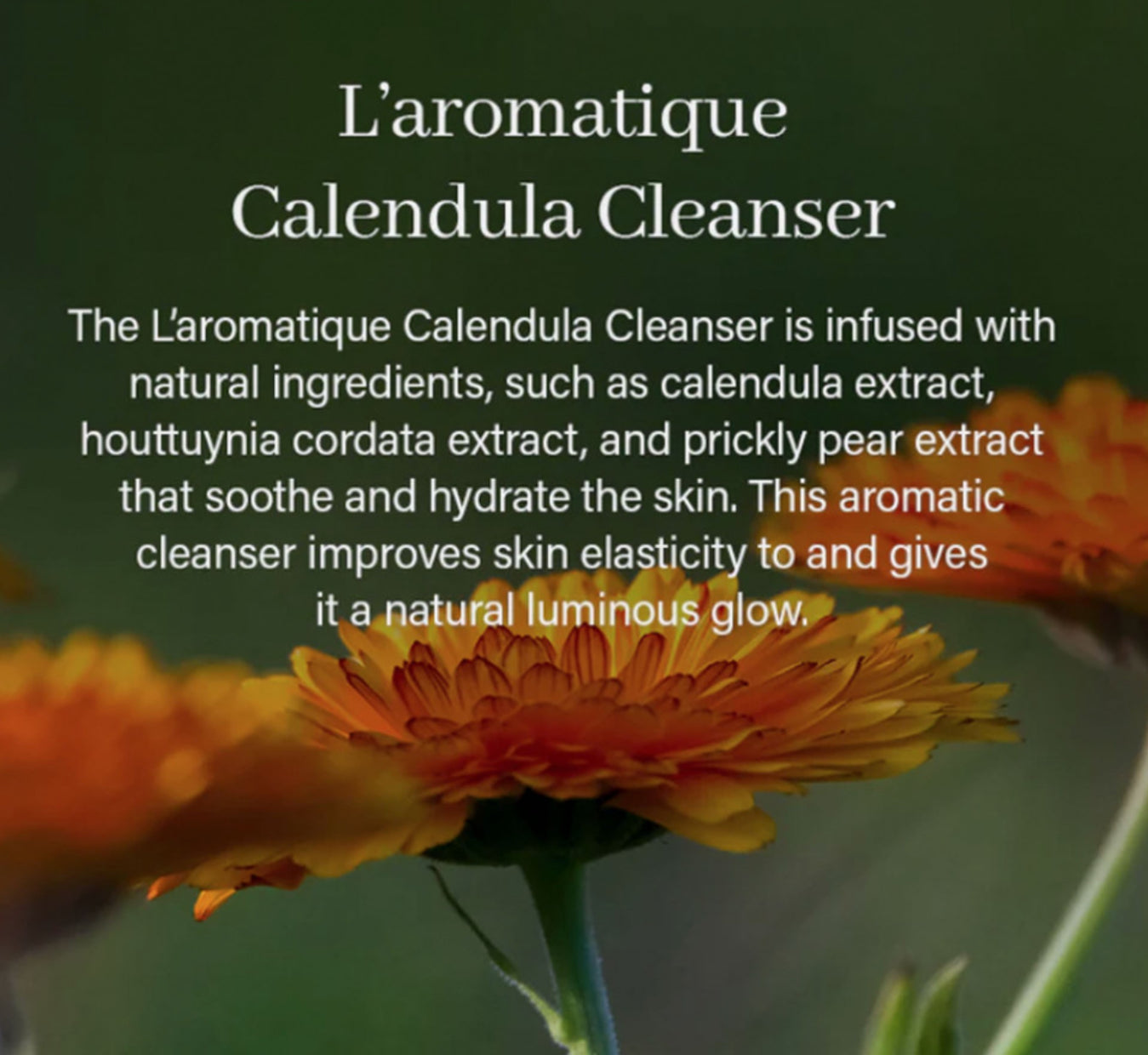 ARENCIA CALENDULA RICE MOCHI CLEANSER 120G / 4.23 FL.OZ