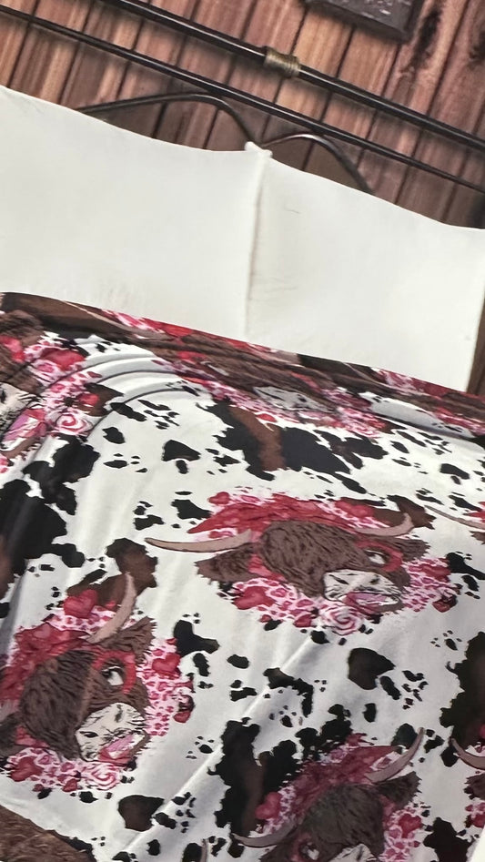 Brown Highland cow MIA BLANK twin