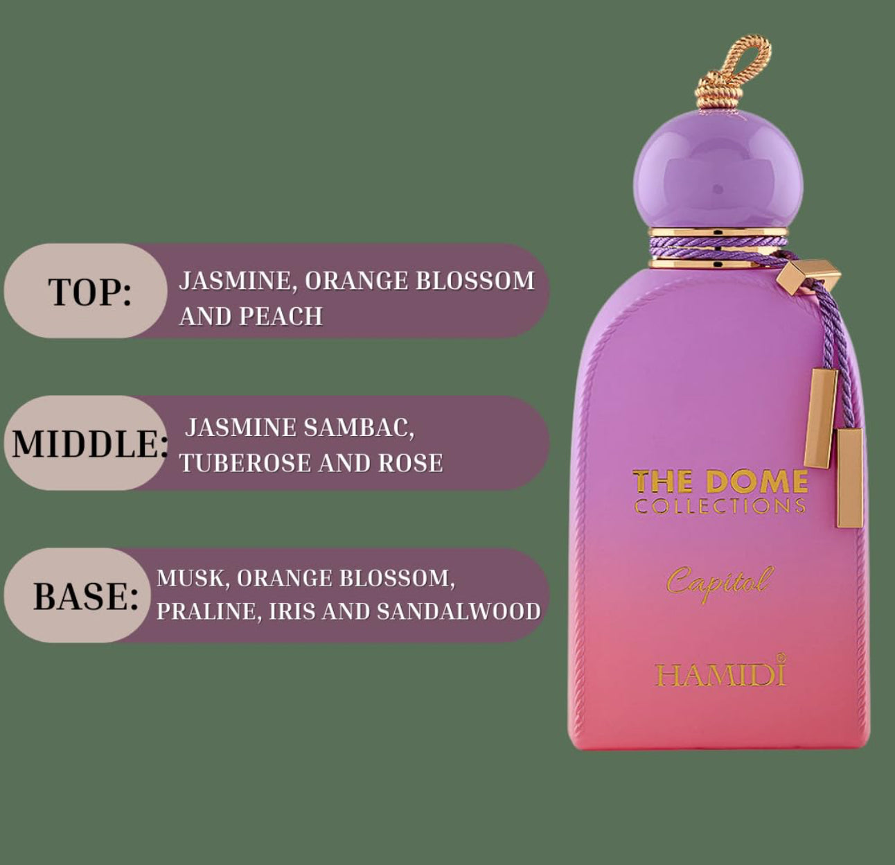 The Dome Collection Capitol (Purple)