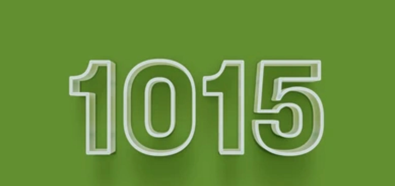 1015  Fannypack Brown