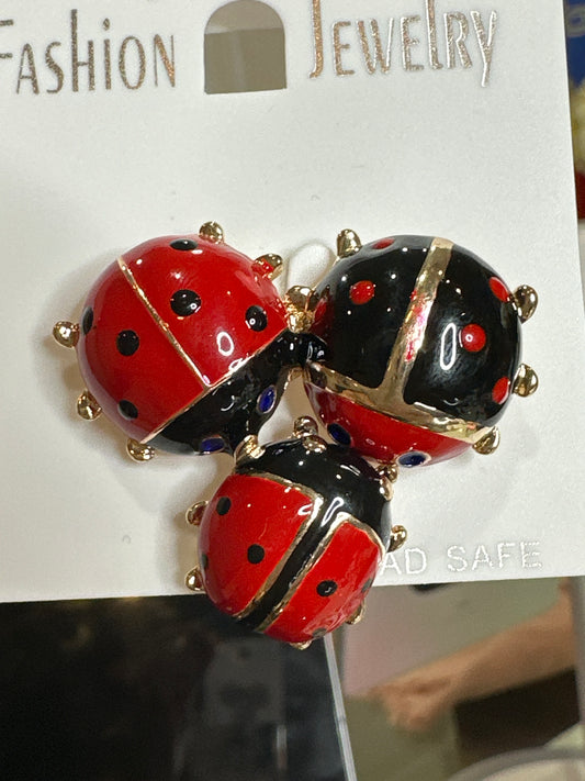 3 ladybugs 🐞 Pin
