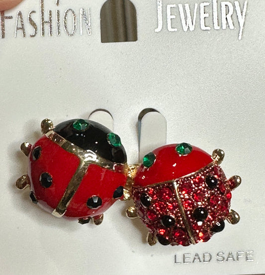 2 ladybugs 🐞 Pin