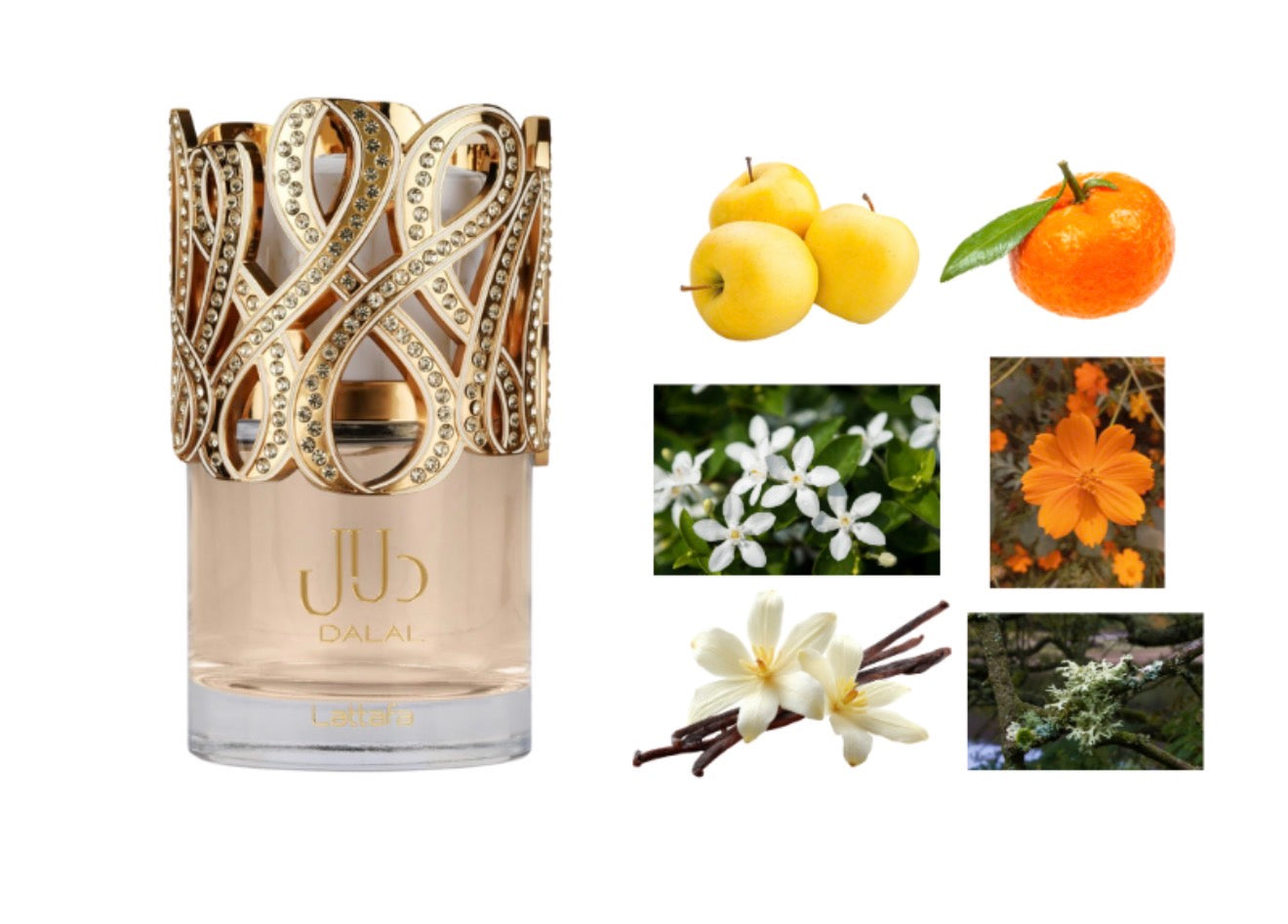 Lattafa Dalal Eau de Parfum