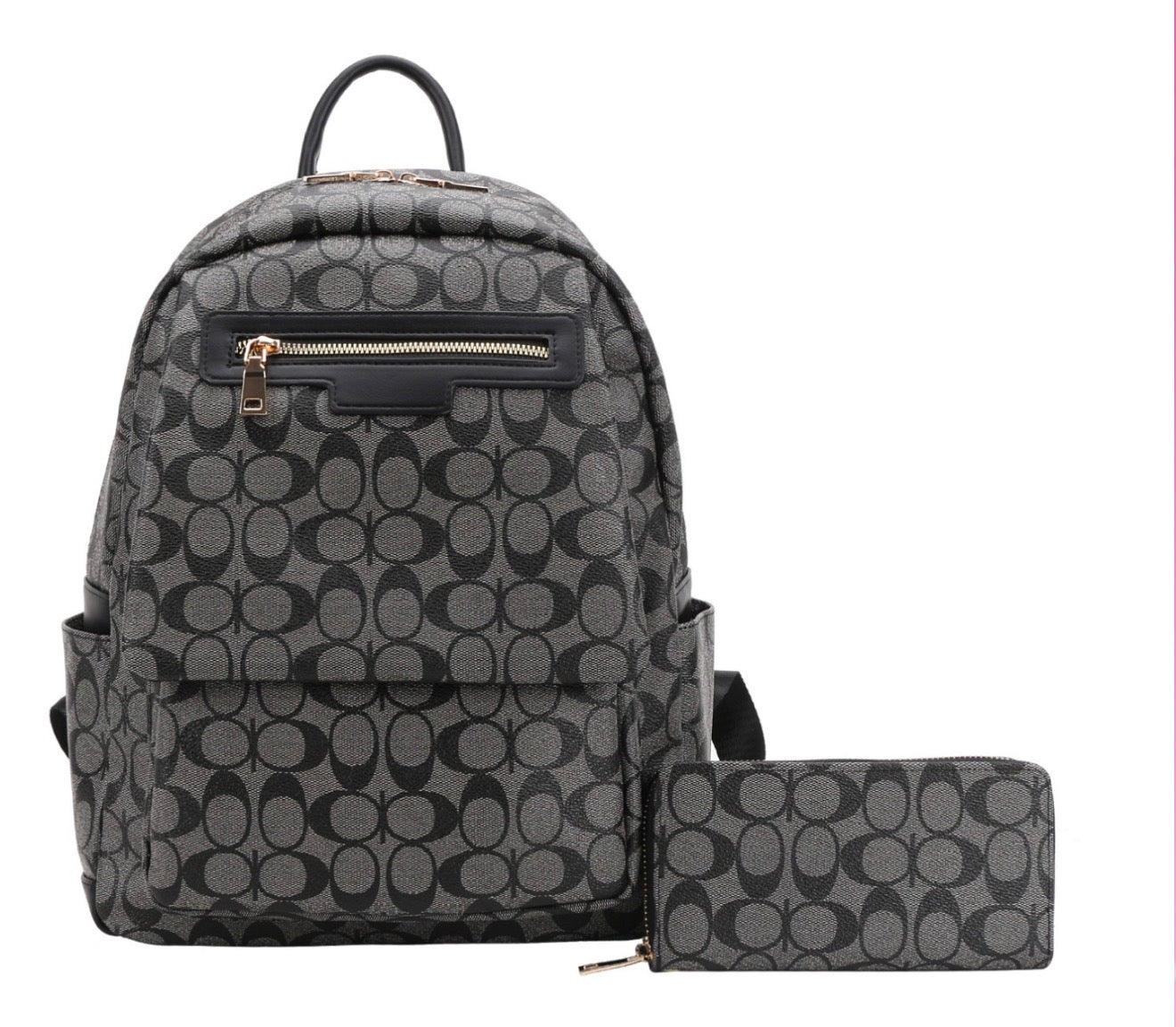 Backpack FT-1216W