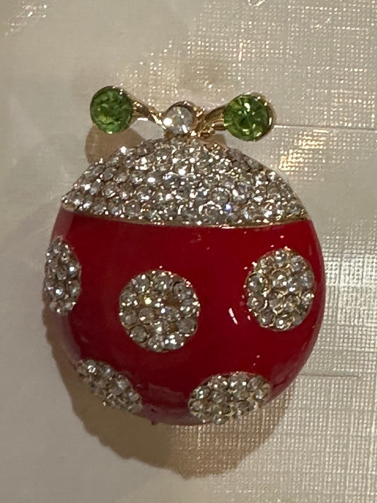 Large ladybug 🐞 Pin