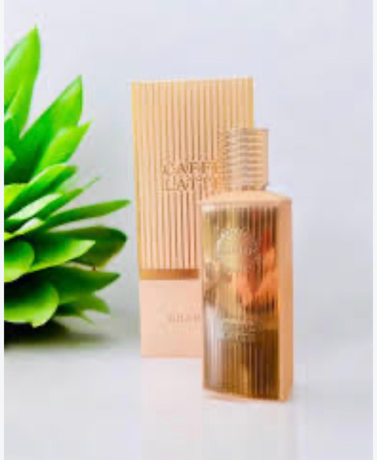 Cafe latte Perfume 100 Ml