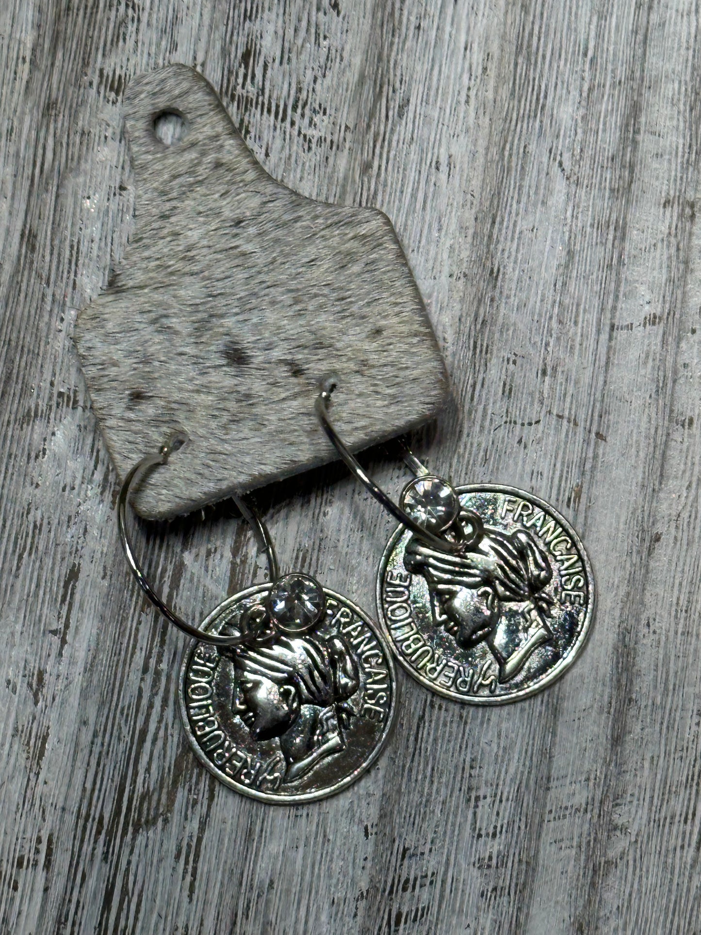 Silver Coin Earrings